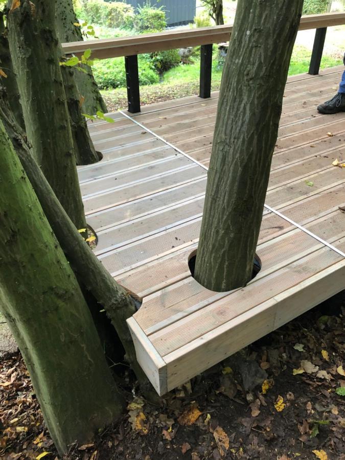 Ferienhaus Waldbaden Im Nationalpark Eifel- Am Bach Schleiden Zewnętrze zdjęcie