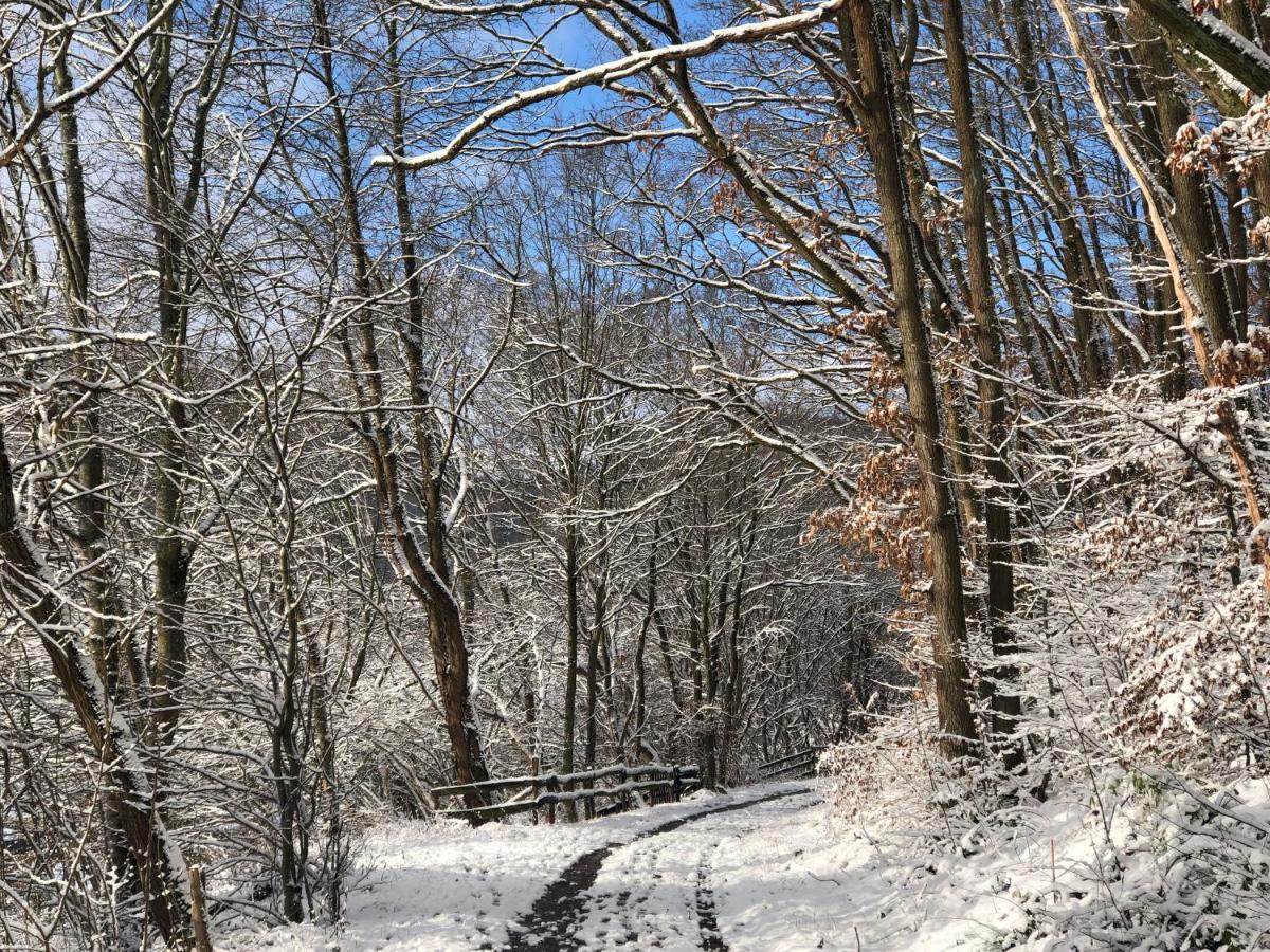 Ferienhaus Waldbaden Im Nationalpark Eifel- Am Bach Schleiden Zewnętrze zdjęcie